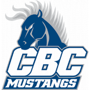 baptist mustangs arkansas softball sportsrecruits naia intercollegiate