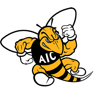 American International College