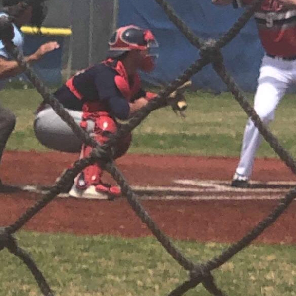 Andrew Molina