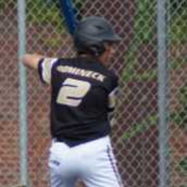 Ben Domineck