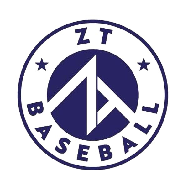 ZT Baseball NTX Gray ZT Elite 2021 White SportsRecruits