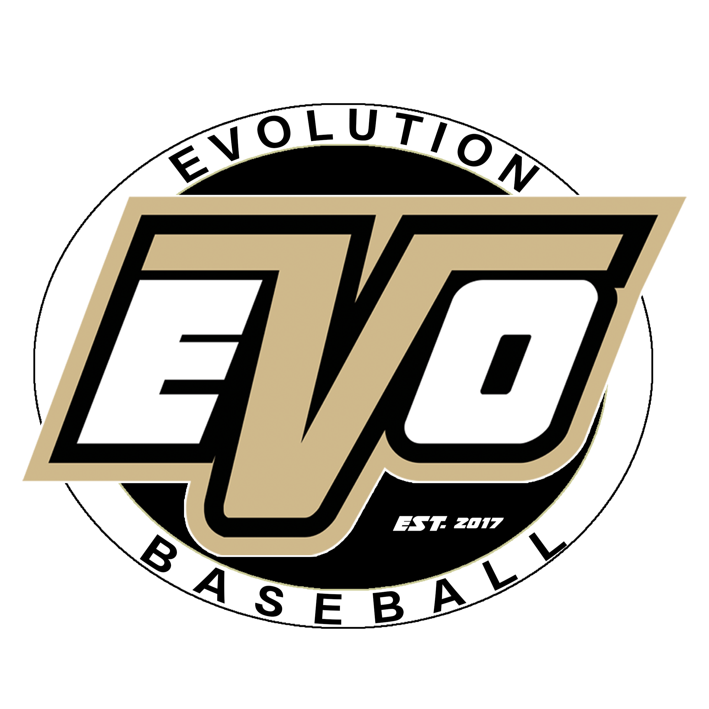 Evolution Baseball