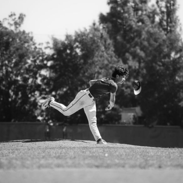Alex Noble