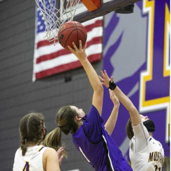 AZ Elite Girls Basketball SportsRecruits