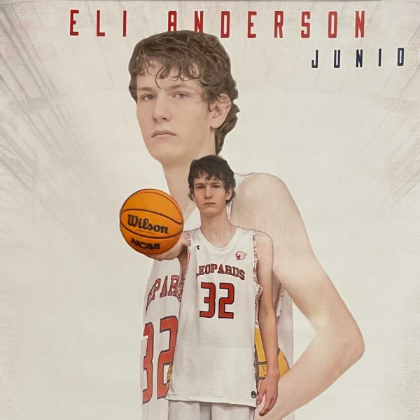 Eli Anderson