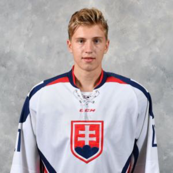 Viktor Hatina