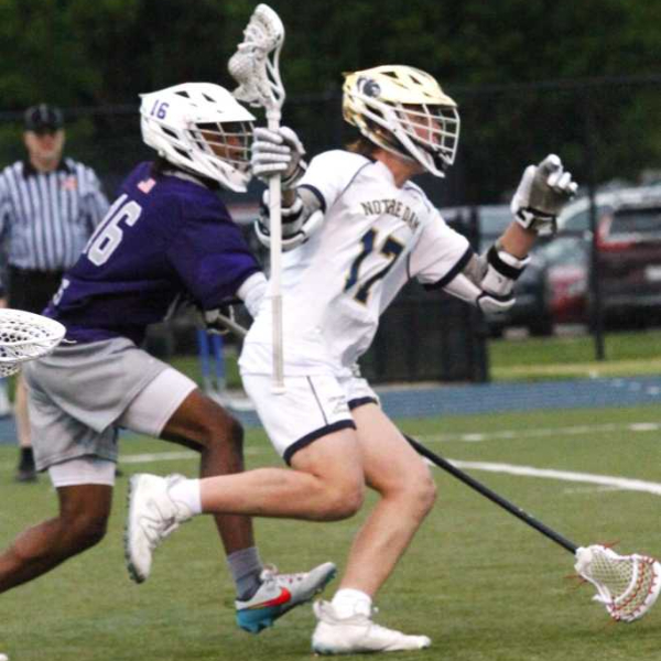 Daniel Finn_Schweizer