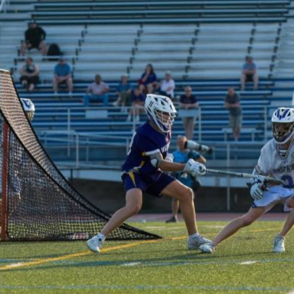 Hudson_Guldenpfennig