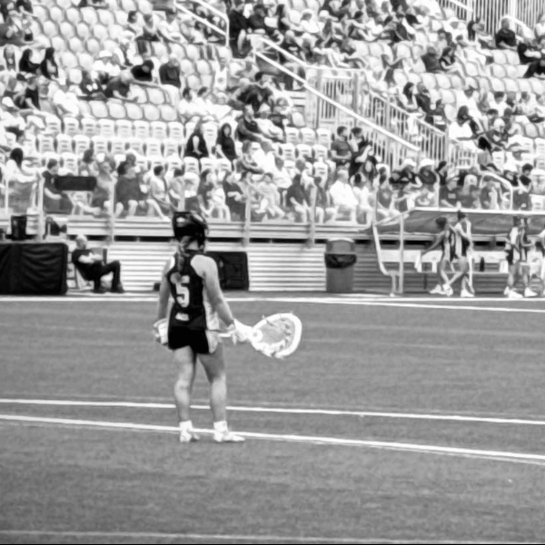 Andie Hall