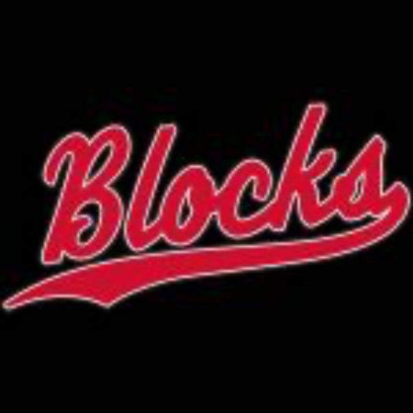 Building Blocks Lacrosse