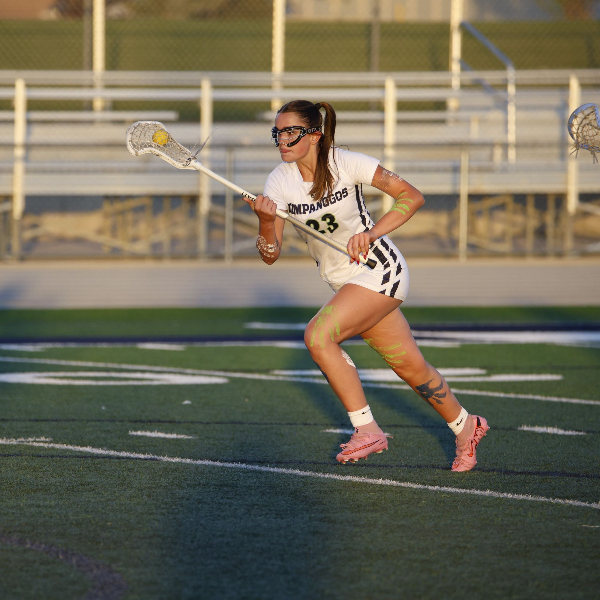 Avery Hipple