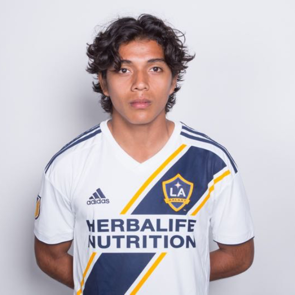 Nestor Molina