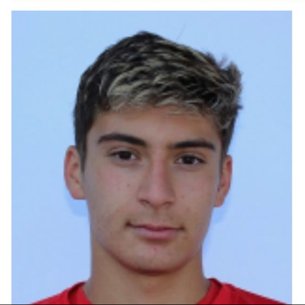 Gavin Tinic