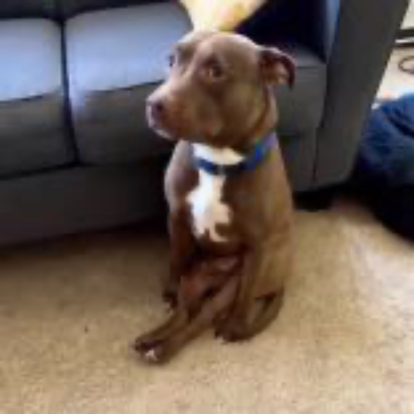 Katherine Stack's Soccer Recruiting Profile