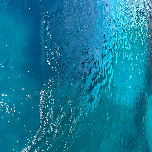 Asareh Eskandaridalvand