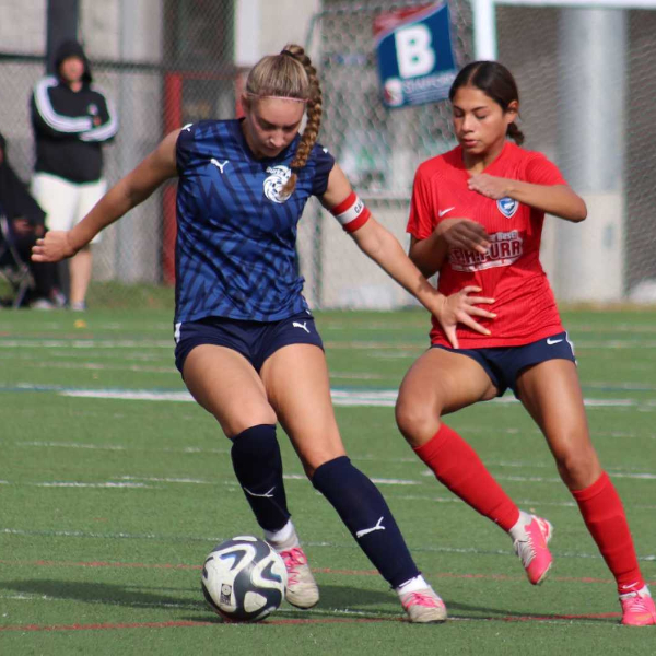 AnneMarie Radzikowski