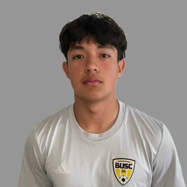 Fabian Ramirez Hernandez