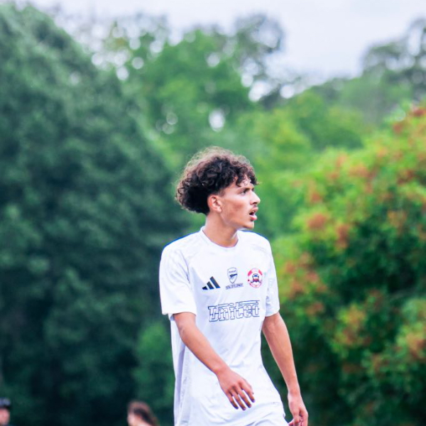 Artur Ferreira Memoli