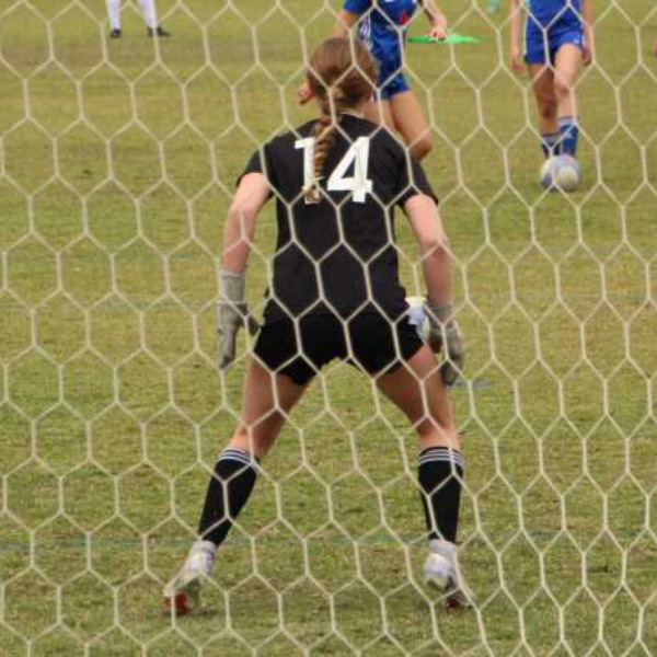 Addison Ferrante Addison Frank's Soccer Recruiting Profile