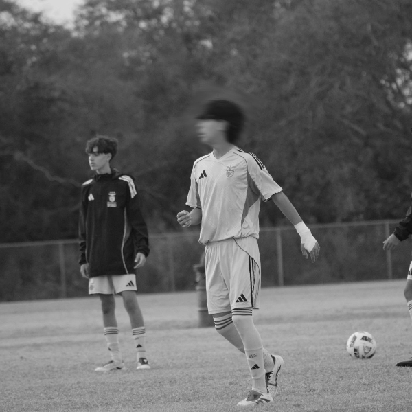 D'Alessandro Vonbank