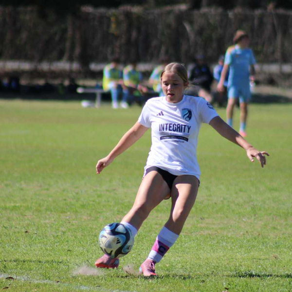 Addison Mchugh