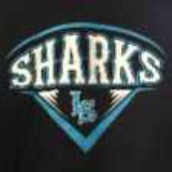 Lady Sharks