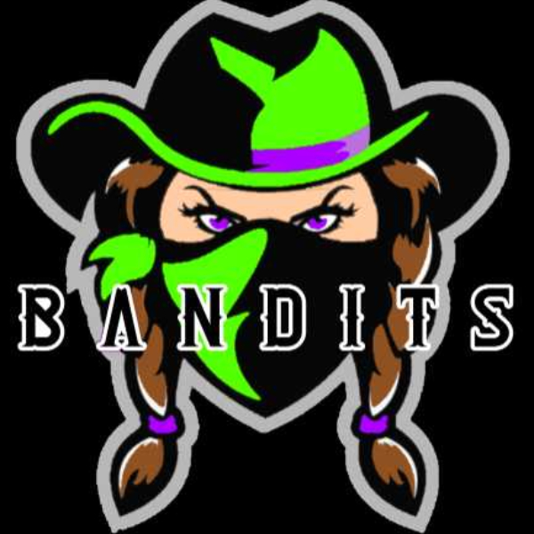 Bakersfield Bandits Softball Club