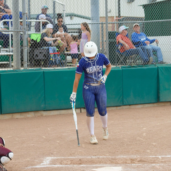 Addison Lundin