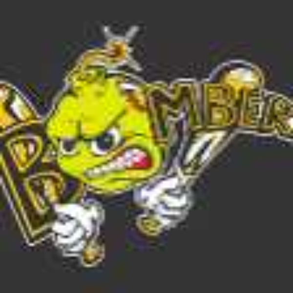 Bordentown Bombers Fastpitch