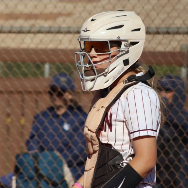 Campbell - Soup Stewart