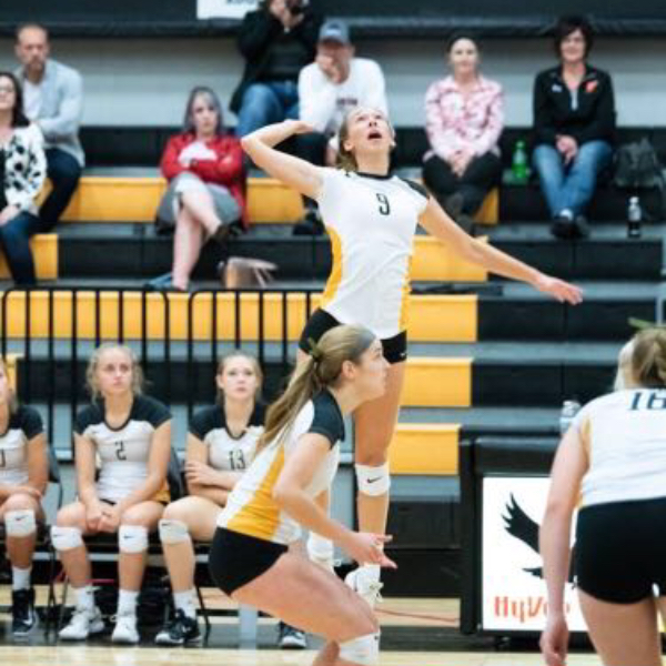Brylee Folkerts