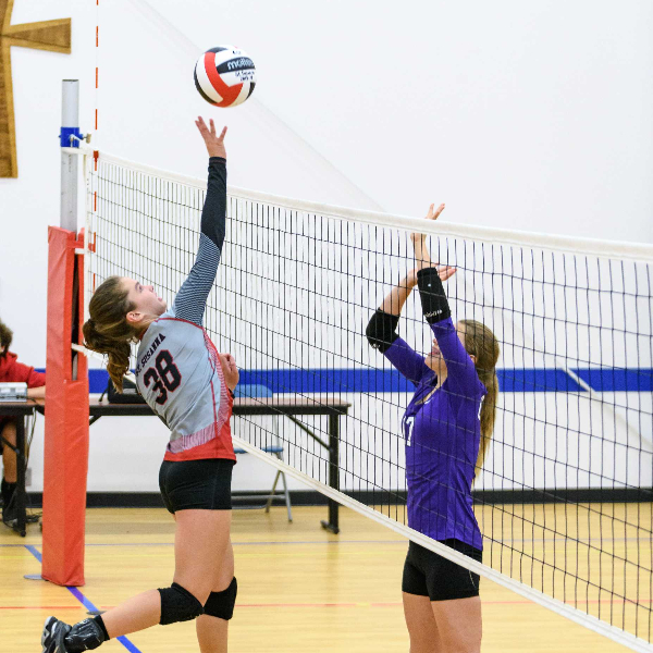 Reagan Bricking