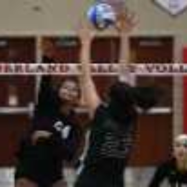 Avery Gallahue