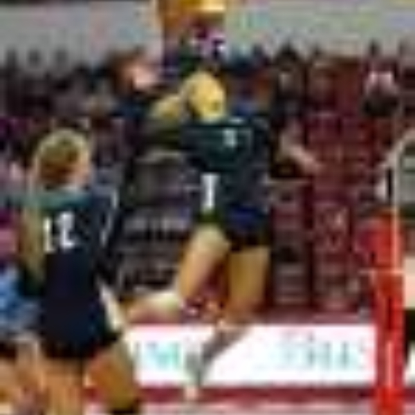 Sally Albers