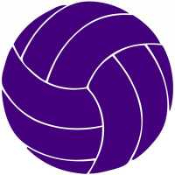 Lineshot Volleyball Club