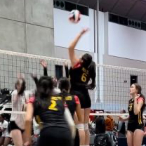 Albuquerque Rebels Volleyball Club Girls SportsRecruits