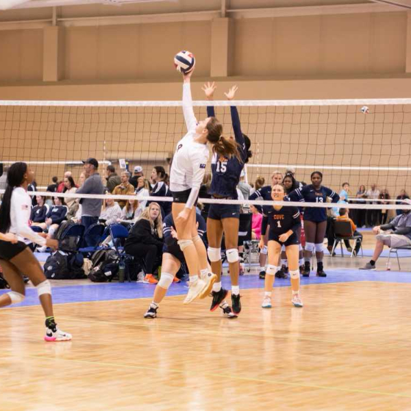 Volleyball Reece Reece Campbell's Volleyball Recruiting Profile