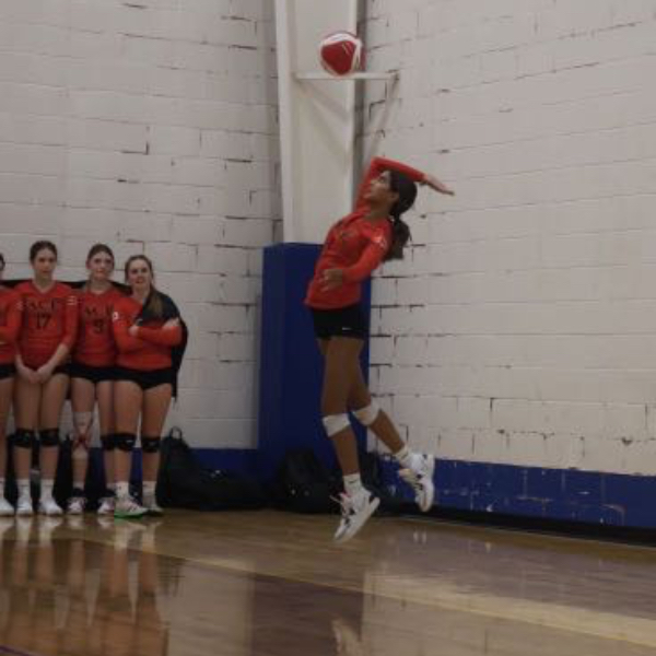 ACE Volleyball Club SportsRecruits