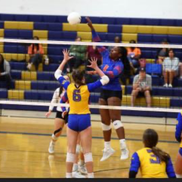 London Coleman's Volleyball Recruiting Profile