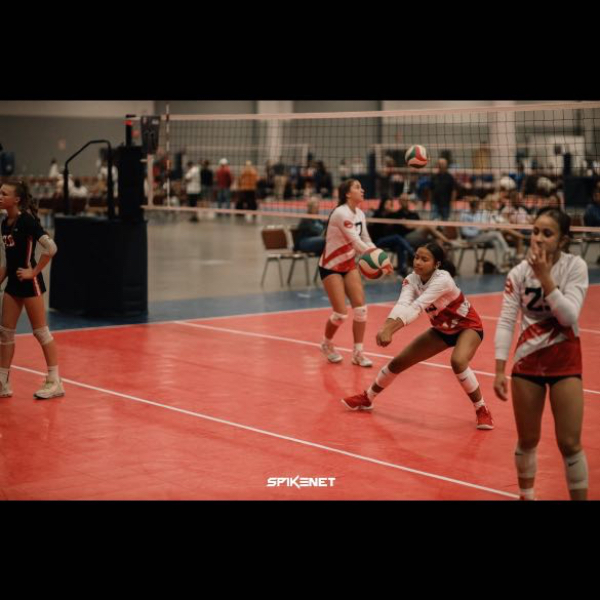 Brynn Skinner
