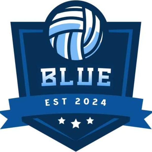Blue Volleyball Academy