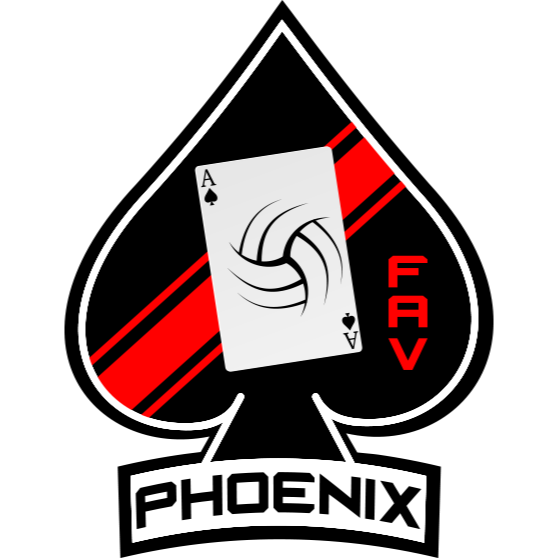 Flight Academy Volleyball