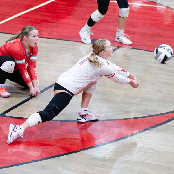 Hudson Shellenbarger