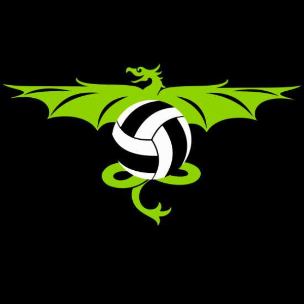 Revolution Volleyball Academy