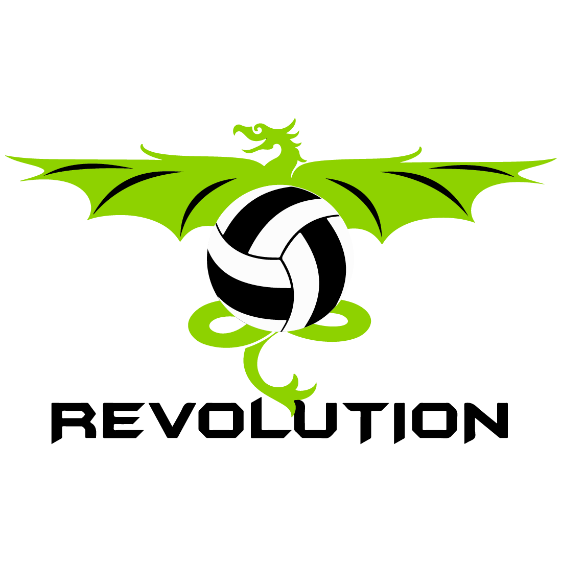 Revolution Volleyball Academy