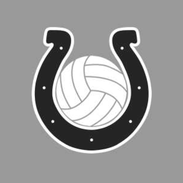 Horseshoe Volleyball Club