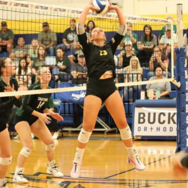 Reece Elaine Harrison