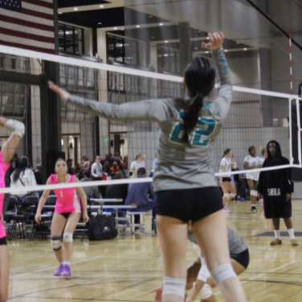 Kaylee Kaas