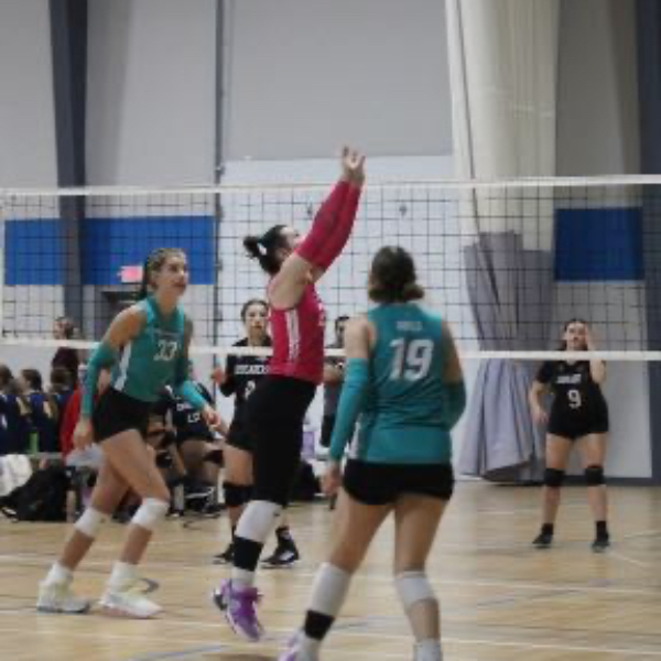 HAILEY_DYER
