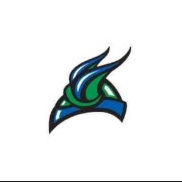 Bay College - Women's Volleyball